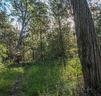 Wallumatta Nature Reserve - Accommodation NT