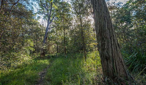 Wallumatta Nature Reserve - Accommodation NT 0