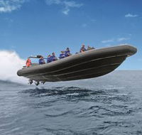 Manly Ocean Adventures - Accommodation NT