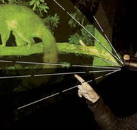 After Dark Nature Tours - Accommodation NT