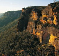 Blue Mountains Mountain Bike Adventure Tour - Accommodation NT