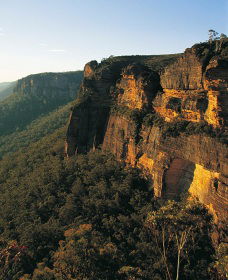 Blue Mountains Mountain Bike Adventure Tour - Accommodation NT 0