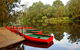 Lane Cove National Park - thumb 0