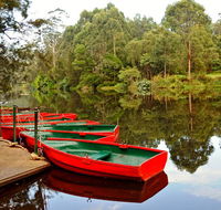 Lane Cove National Park - Accommodation NT