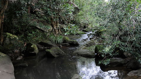 Lane Cove National Park - Accommodation NT 3