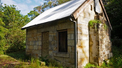 Lane Cove National Park - Accommodation NT 1