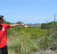 Kadoo Tours - Accommodation NT