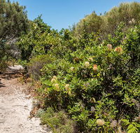 Henry Head walking track - Accommodation NT