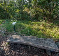 Browns Forest loop trail - Accommodation NT