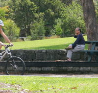 Pennant Hills West Pymble fire trail - Accommodation NT