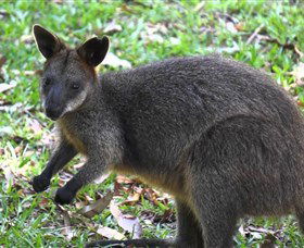 St Ives Precinct - Accommodation NT 4