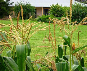 Experiment Farm Cottage - Accommodation NT 4