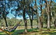 Georges River National Park - thumb 1