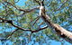 Georges River National Park - thumb 3
