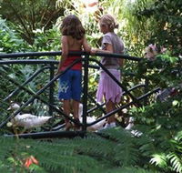 EG Waterhouse National Camellia Garden - Accommodation NT