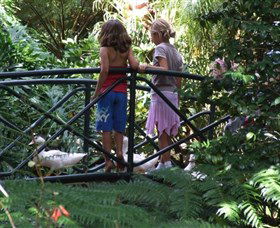 EG Waterhouse National Camellia Garden - Accommodation NT 0
