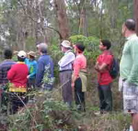 Boronia Tours - Accommodation NT
