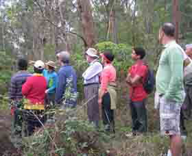 Boronia Tours - Accommodation NT 0