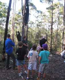 Boronia Tours - Accommodation NT 1