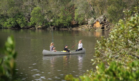 Berowra Valley National Park - Accommodation NT 2