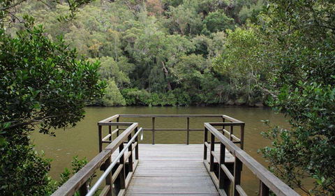 Berowra Valley National Park - Accommodation NT 0