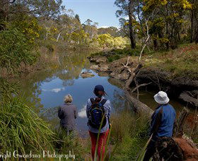 Australian Sightseeing And Photography Tours - Accommodation NT 5