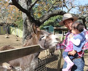 Golden Ridge Animal Farm - Accommodation NT 1