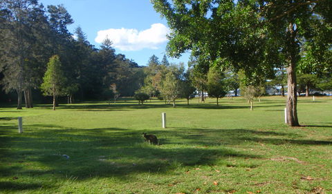 The Basin Picnic Area - Accommodation NT 1