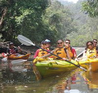 Southern Cross Kayaking - Hawkesbury - Accommodation NT