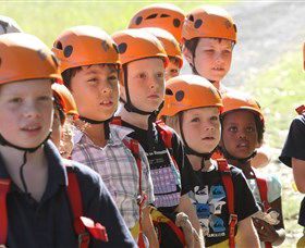 TreeTop Adventure Park Sydney - Accommodation NT 2