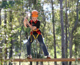 TreeTop Adventure Park Sydney - Accommodation NT 1