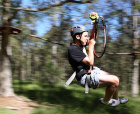 TreeTop Adventure Park Sydney - Accommodation NT 0
