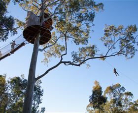 TreeTop Safari - Accommodation NT 3