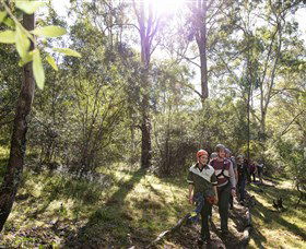 TreeTop Safari - Accommodation NT 4