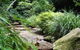 Forest Path - thumb 0