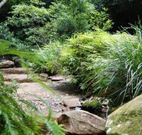 Forest path - Accommodation NT