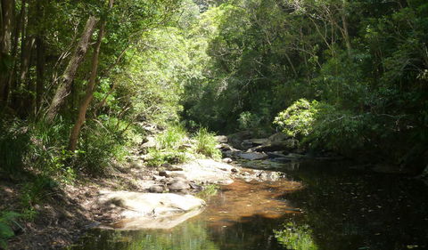 Forest Path - Accommodation NT 1