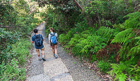 Barrenjoey Lighthouse - Accommodation NT 3