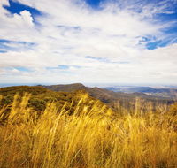 Muogamarra Nature Reserve - Accommodation NT
