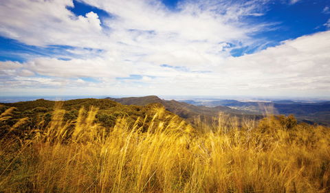 Muogamarra Nature Reserve - Accommodation NT 0
