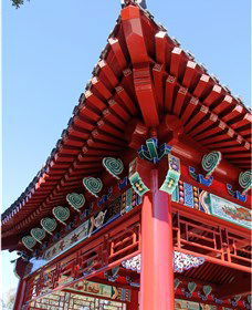 Chang Lai Yuan Chinese Gardens - Accommodation NT 0
