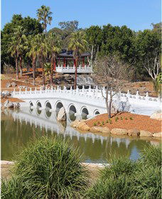 Chang Lai Yuan Chinese Gardens - Accommodation NT 1