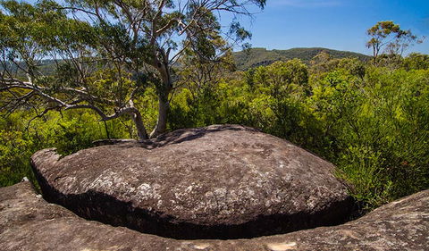 Marramarra Ridge To Smugglers Ridge Walking Track - Accommodation NT 0