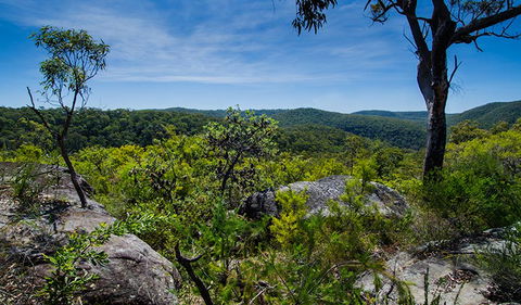 Marramarra Ridge To Smugglers Ridge Walking Track - Accommodation NT 3