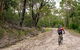 Cawleys Road Trail - thumb 0