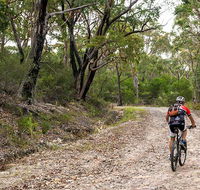 Cawleys Road trail - Accommodation NT