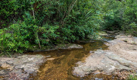 Cawleys Road Trail - Accommodation NT 2