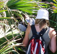 Palm Jungle loop track - Accommodation NT