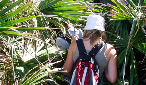 Palm Jungle Loop Track - Accommodation NT 0
