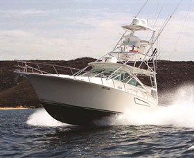 1300 Big Fish - Accommodation NT 0